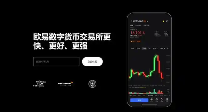 USDT官网下载平台展示图
